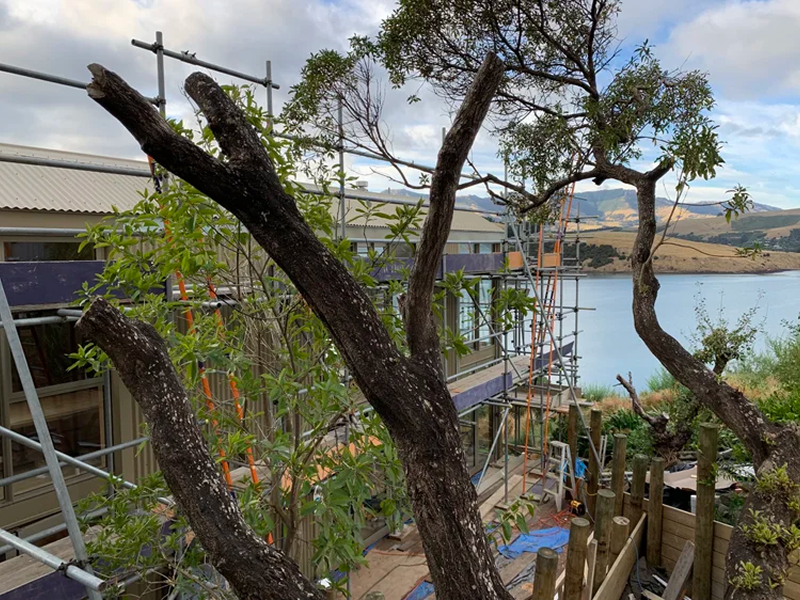 Blanks+Residence+Akaroa-7
